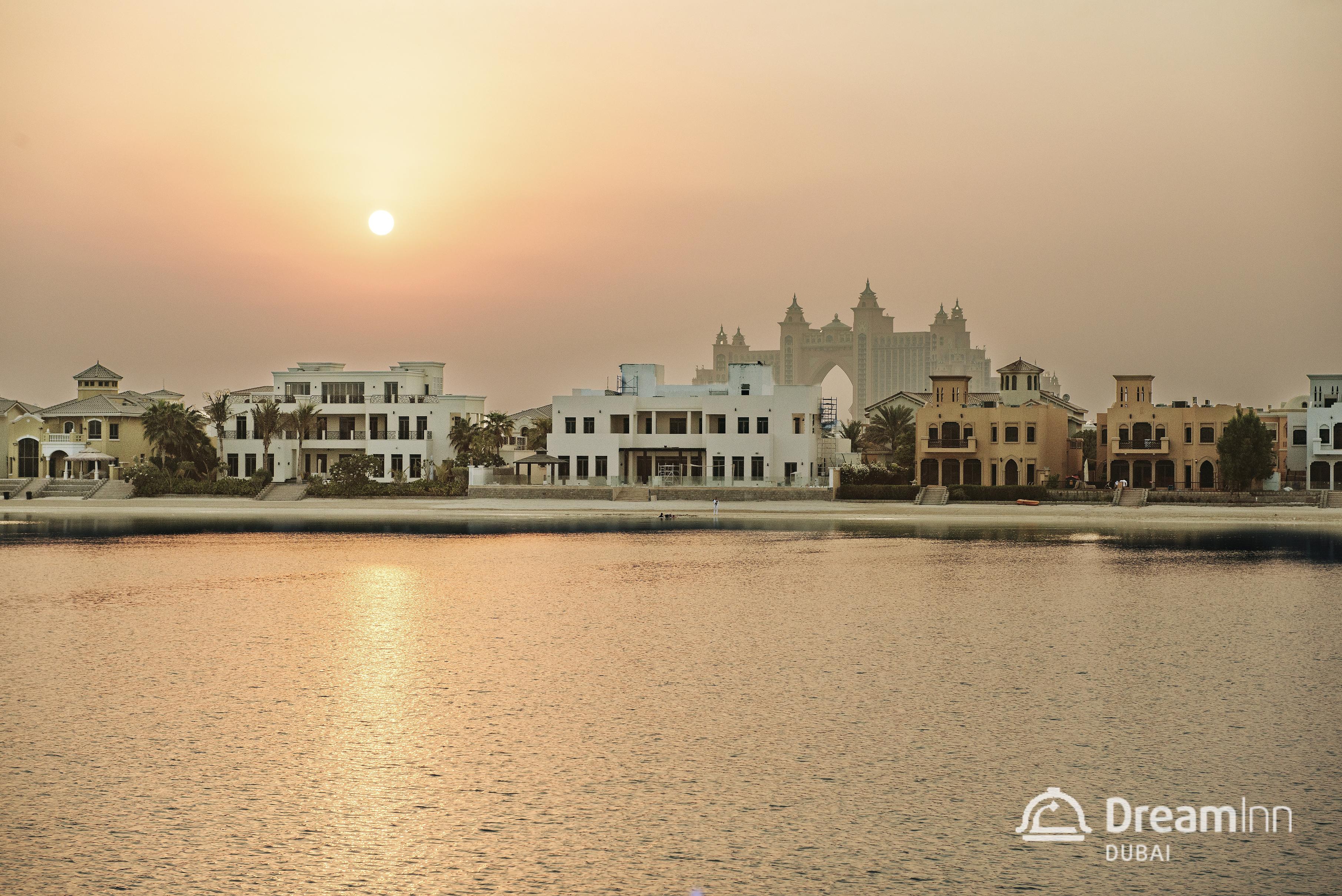 Dream - Arabian Retreat Palm *